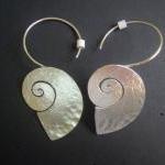 Sea Shell Earrings